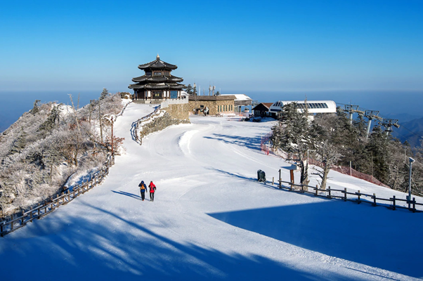 south korea winter tour