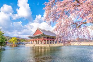 Read more about the article A First Time Guide to Seoul